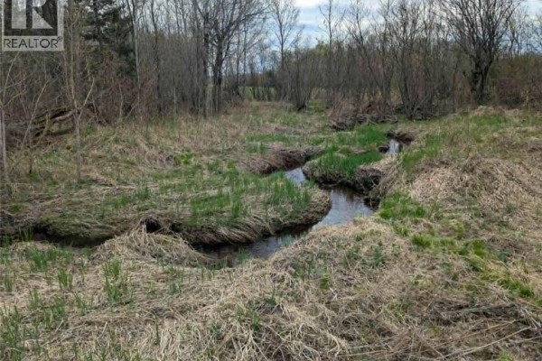 Lot 17 Bertha Road, Corbeil, ON P0H1K0 Photo 5