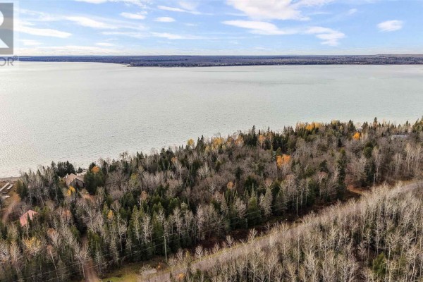 Aerial shot of wooded area with road and lake in the background, showcasing seasonal colors. - Lot 17 Ellwood Blvd, Hilton