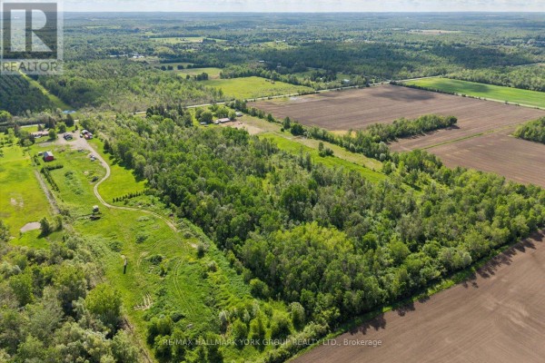 Lot 17 Mccowan Road, Georgina, ON L0E1R0 Photo 5