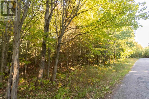 Lot 17 Nokomis Beach Rd, Sault Ste  Marie, ON, photo 3