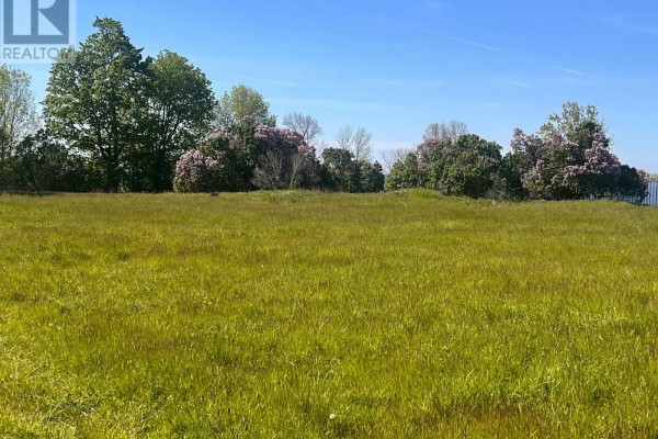 Lot 17 South Shore Road, Loyalist, ON K0H2S0 Photo 2