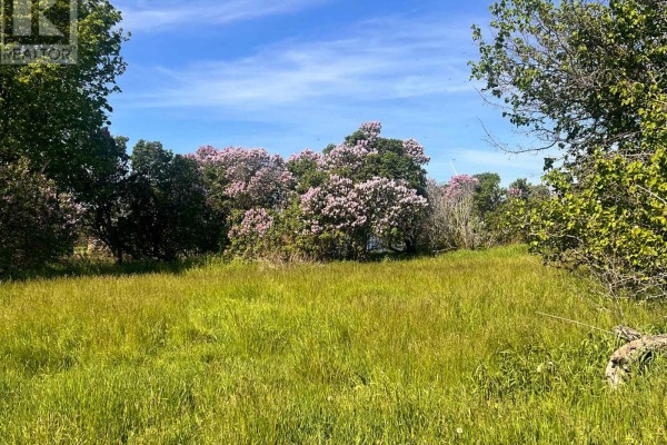 Lot 17 South Shore Road, Loyalist, ON K0H2S0 Photo 3