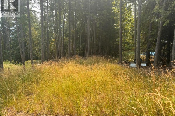 A wide grassy area with tall, dry grasses and scattered trees, bordered by a dense forest. - Lot 170 Estate Close, Anglemont