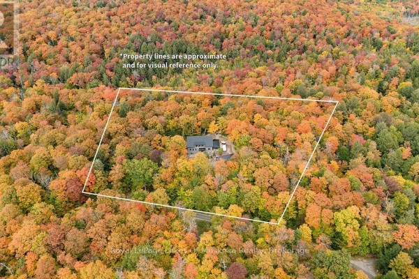 Aerial view of the property lot, outlined in white, surrounded by dense woods in autumn. - Lot 18 - 113 Gryffin Bluffs Lane, Huntsville