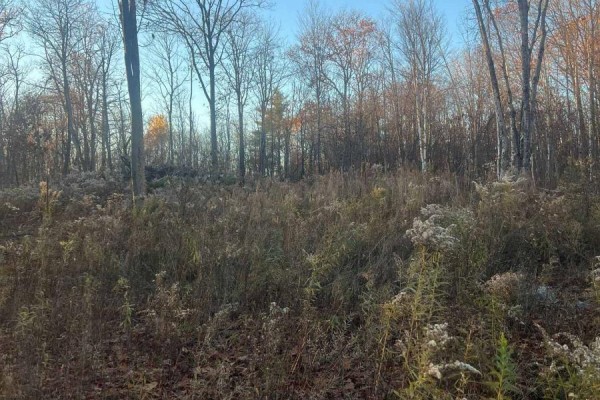 Lot 18 - 28 Kirkhill Drive, Bracebridge), ON P1L0A1 Photo 2