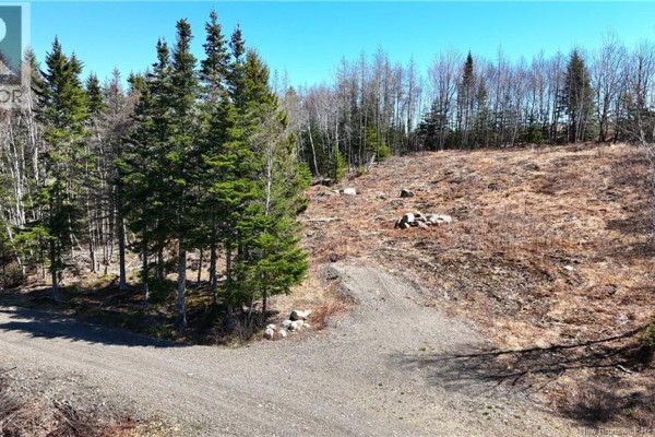 Lot 18-02 Damian Lane, St George, NB, photo 3