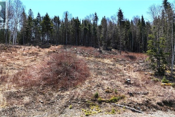 Lot 18-03 Damian Lane, St George, NB, photo 2
