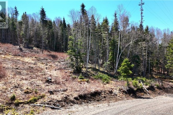 Lot 18-03 Damian Lane, St George, NB, photo 3