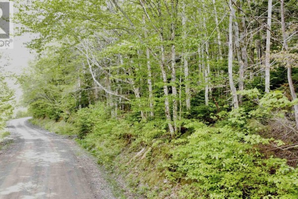 Lot 18-1 Glenora Falls Road, Glenora Falls, NS B0E1X0 Photo 3