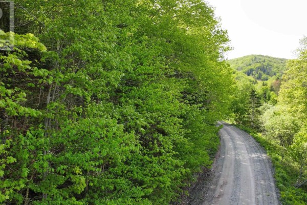 Lot 18-1 Glenora Falls Road, Glenora Falls, NS B0E1X0 Photo 4