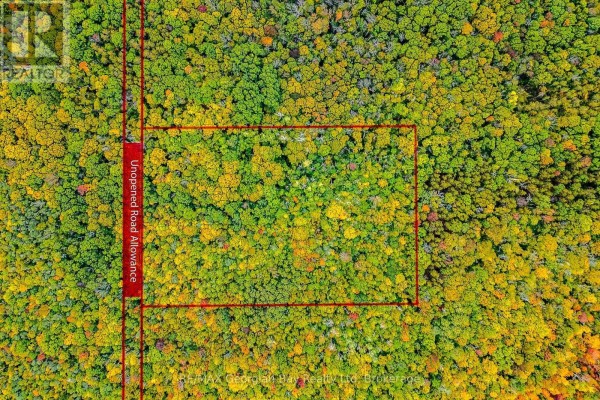 Lot 18 Conc 19 Road W, Tiny, ON L9M2H7 Photo 4
