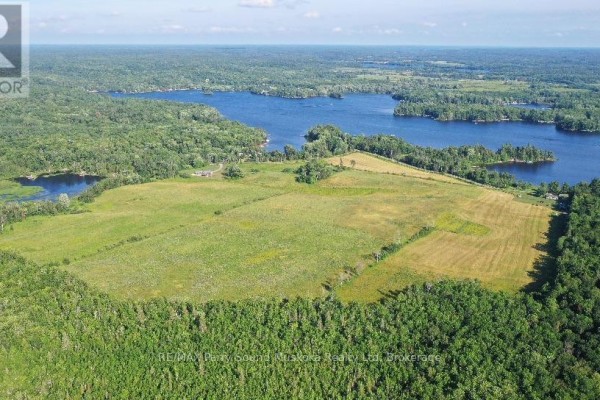 Aerial view of a large grassy field surrounded by dense green forest and distant blue water. - Lot 18 Concession 3 Street, Seguin