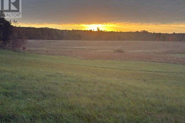 Golden sunset over a vast, gently sloping green field bordered by a line of trees. - Lot 18 Concession 3 Street, Seguin