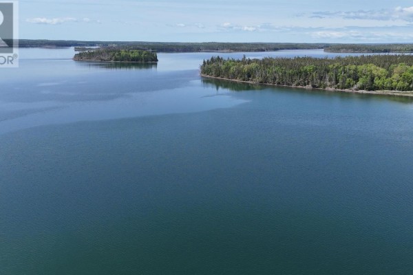 Aerial view of the shoreline with dense evergreen trees meeting clear, shallow water. - Lot 18 Marine Way, South River Bourgeois