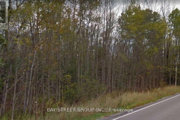 Lot 18 Weir's Side Road, Georgina, ON L0E1N0 Photo 4