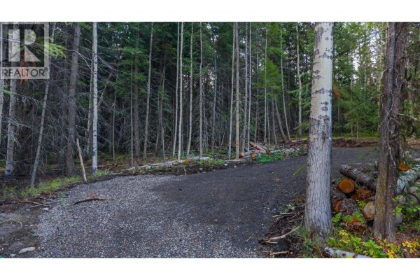 Lot 180 Paterson Road, Deka Lake / Sulphurous / Hathaway Lakes, BC, photo 3