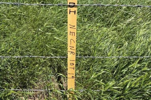 Lot 19, 210044 Highway 512, Rural Lethbridge County, AB T1J5N9 Photo 5