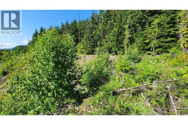 Lot 19 6 Highway, Nakusp, BC, photo 2
