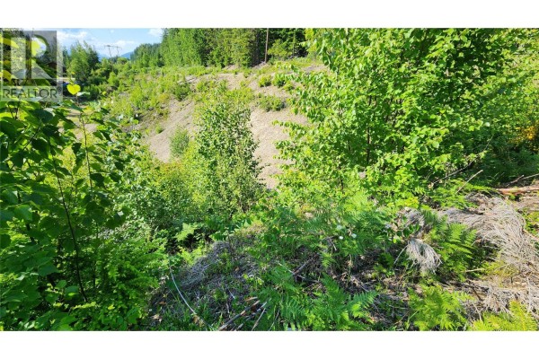 Lot 19 6 Highway, Nakusp, BC, photo 3