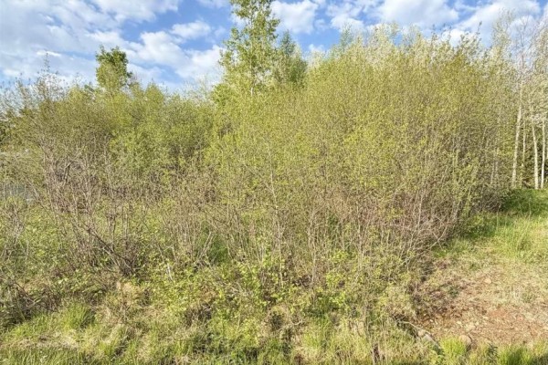 Lot 19 Belair Drive, Conway, NS B0V1A0 Photo 3