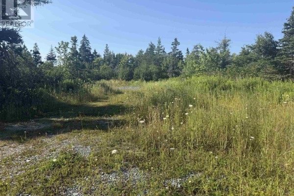 Lot 19 Block L Hwy 207 Highway, Three Fathom Harbour, NS B3E1N4 Photo 4