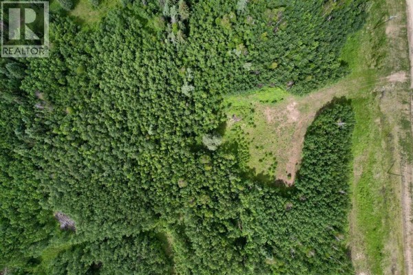 Lot 19 Mountain Springs, Rural Woodlands County, AB, photo 2