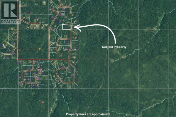 Aerial map showing the location of the subject property within a rural subdivision. - Lot 19 Mountain Springs, Rural Woodlands County