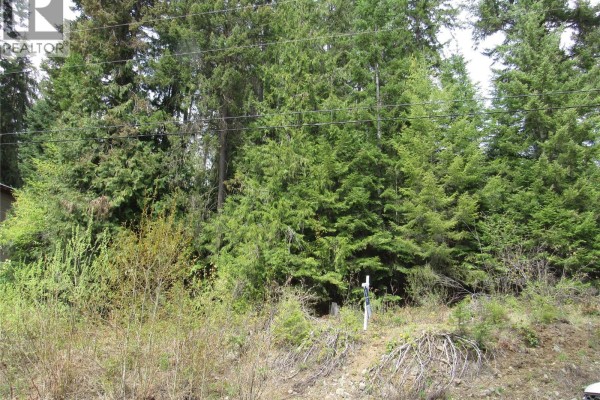 Lot 19 Nelson Rural 08182.190 Lot# 19, Bonnington Falls, BC V0G2G3 Photo 2