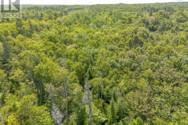 Lot 19 Pelton Mountain Road, Chipman Brook, NS, photo 2