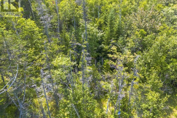Lot 19 Pelton Mountain Road, Chipman Brook, NS, photo 3