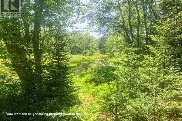 Lot 19l, Pine Prince Drive, Briar Lake, NS B0W2Y0 Photo 2