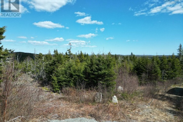 Lot-1a Highway 7, Salmon River Bridge, NS B0J1W0 Photo 4