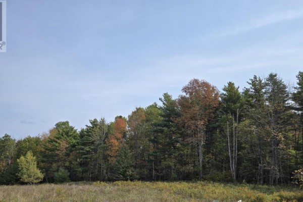 Lot 1a Lower Branch Road, Lower Branch, NS, photo 3