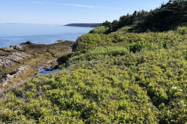 Lot 1a Pepperrell Road, Cape St Marys, NS B5A5B4 Photo 4