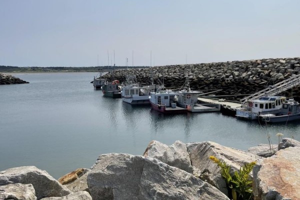 Lot 1b Pepperrell Road, Cape St Marys, NS B5A5B4 Photo 2