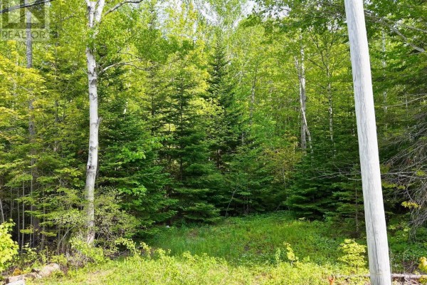 Lot 2, 3, 6 Leitches Creek Rd, Leitches Creek, NS B2A4A5 Photo 3
