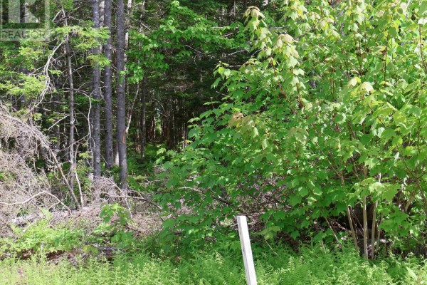 Lot 2, 3, 6 Leitches Creek Rd, Leitches Creek, NS B2A4A5 Photo 4