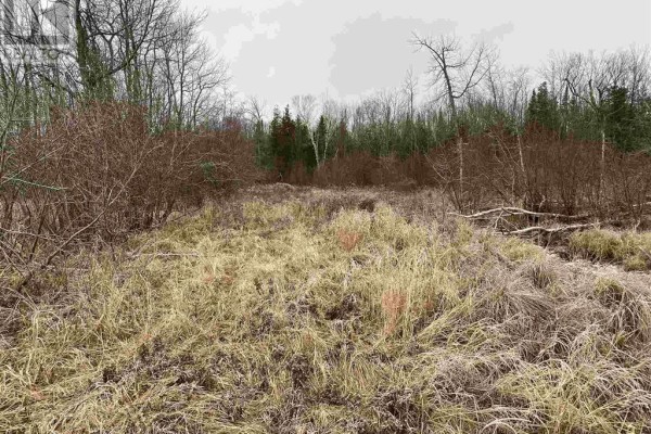 Lot 2 & 3 Con Nelson Dr, St  Joseph Island, ON, photo 2