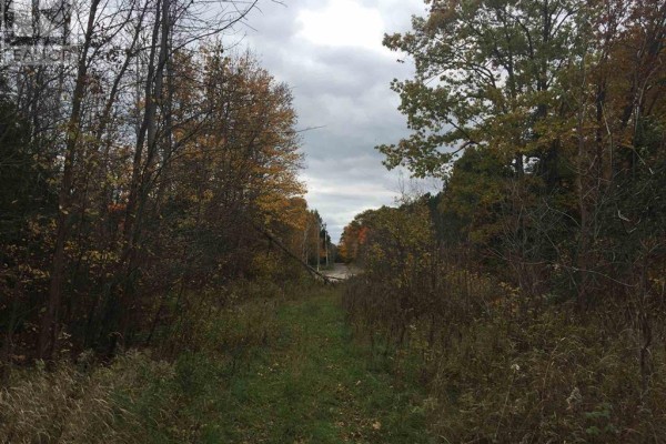 Lot 2 & 3 Con Nelson Dr, St  Joseph Island, ON, photo 3