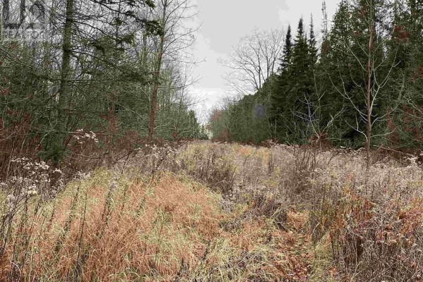 Lot 2 & 3 Con Nelson Dr, St  Joseph Island, ON P0R1G0 Photo 4