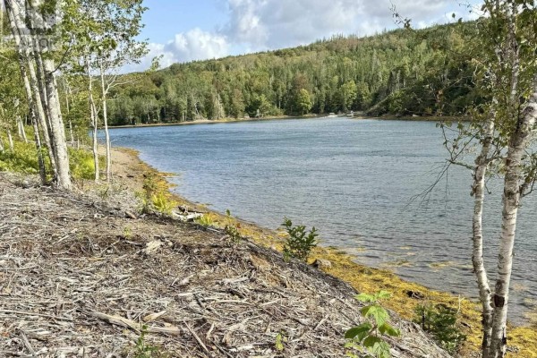 Lot 2-1 Antigonish Guysborough Road, Lesterdale, NS B0H1G0 Photo 3