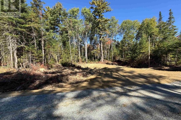 Gravel road leading to a partially cleared area with trees in the background. - Lot 2-23 Highway 325, West Clifford