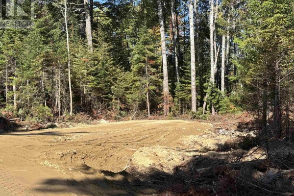 Cleared land with dirt surface, bordered by dense forest. - Lot 2-23 Highway 325, West Clifford