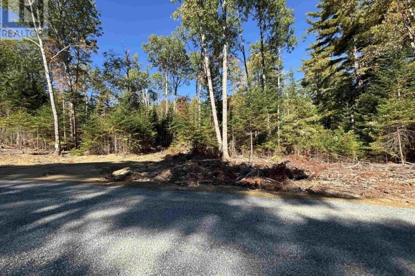 View of a gravel road with cleared area and trees on either side. - Lot 2-23 Highway 325, West Clifford