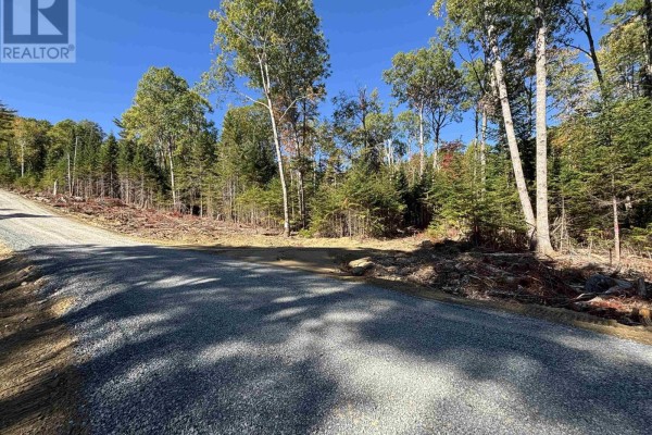 Gravel road with tree line and cleared land visible in the foreground. - Lot 2-23 Highway 325, West Clifford