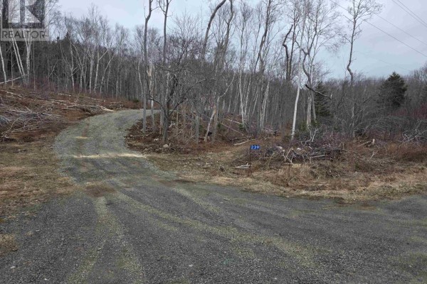 Lot 2 239 Sissiboo Road, Weymouth, NS B0W3T0 Photo 2