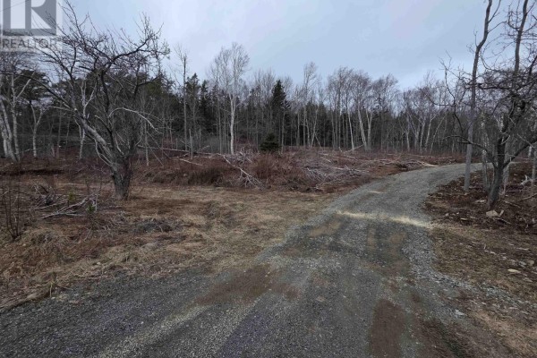 Lot 2 239 Sissiboo Road, Weymouth, NS B0W3T0 Photo 3