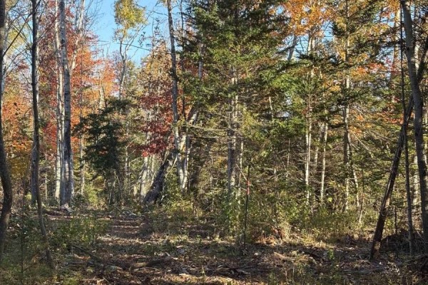 Lot 2-25 Blue Sea Road, Malagash, NS B0K1E0 Photo 3