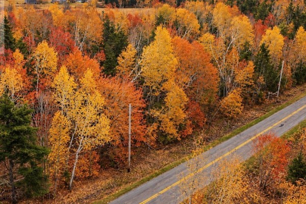 Lot 2-25 Blue Sea Road, Malagash, NS B0K1E0 Photo 4