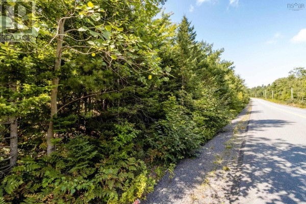 Lot 2 Aylesford Road, Morristown, NS B0P1C0 Photo 4